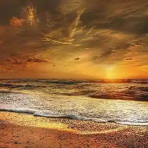 Picture for song 'To Share a Life' by artist 'Nate Goodrich Music'