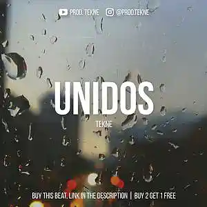 Picture for song 'Unidos' by artist 'valn.maker'