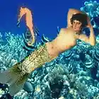 Picture for song 'Magical Mischief Makers' by artist 'William Read'