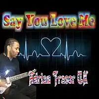 Picture for song 'Say You Love Me (Fleetwood Mac cover)' by artist 'Adrian Fraser UK'