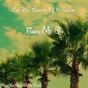 Picture for song 'Turn Me On - Cee Da Trooth (feat. K-Skeem) -' by artist 'Cee Da Trooth'