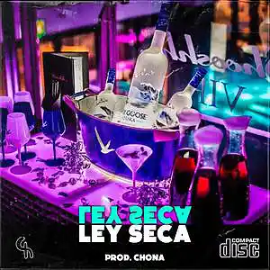 Picture for song '"Ley Seca" Anuel AA X Jhay Cortez Dancehall Beat' by artist 'Chona'