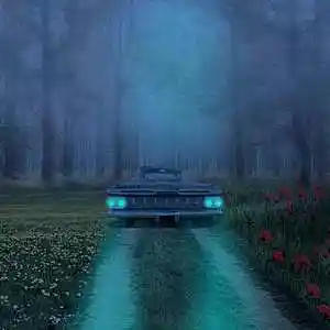 Picture for song 'Karma Police' by artist 'Gorya'