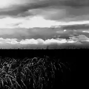 Picture for song 'Hexerei' by artist 'Hapatus'