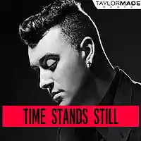Picture for song 'Time Stands Still' by artist 'TaylorMadeBeatz'