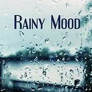 Picture for song 'Rainy mood' by artist 'Texas Barbudos'