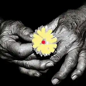 Picture for song 'When It's Goodbye' by artist 'TimM Songs'