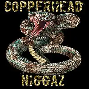 Picture for song 'COPPERHEAD' by artist 'Yung Missle'