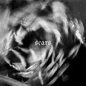 Picture for song 'who i am' by artist 'Alexx (BR)'