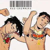 Picture for song 'Rae Sremmurd X Kodak Black Type beat * PARANOID *' by artist 'DaYellBeatZ'