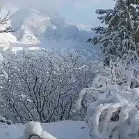 Picture for song 'Memories of Winter Past' by artist 'D E Farmer'