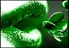 Picture for song 'KISS ME BABY I'M CELTIC - CBC 3/15/14 Fest' by artist 'Dr. Bob's Jazz - Benefit Boppin' Quartet - JBBQ'