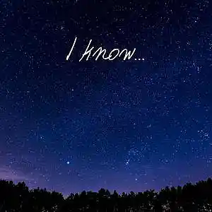 Picture for song 'I know' by artist 'Kamil Jedralski'
