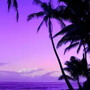 Picture for song 'FIND YOUR LOVE / Afropop [Burna Boy, WizKid]' by artist 'Le Mak Music'