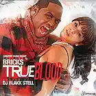 Picture for song 'BRICKS - IM ABOUT IT (Prod By: Mob On Tha Trakk)' by artist 'Mob On Tha Trakk'