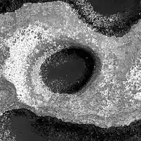 Picture for song 'Aad Guray Nameh' by artist 'Pre Polar'