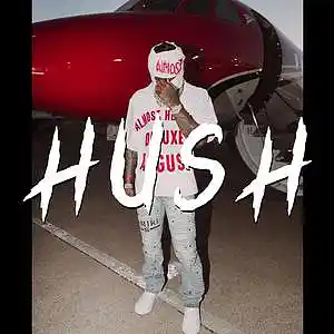 Picture for song 'Hush (Lil Durk type beat)' by artist 'RVSN beats'
