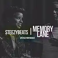 Picture for song 'Memory Lane' by artist 'SteezyOnTheBeat'