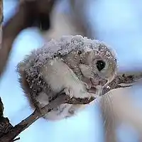 Picture for song 'winter ....' by artist 'stefanos grigoriadis'