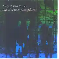 Picture for song 'mountains' by artist 'tory z starbuck'