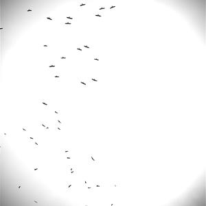 Picture for song 'unleashed feelings' by artist 'Chamo Mile'