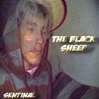 Picture for song 'sick retards' by artist '13thSentinal'