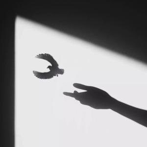 Picture for song '[FREE] XXXTentacion Type Beat - "Higher"' by artist 'Aint Saint'