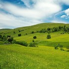 Picture for song '*Amazing* Summers Day In The Meadows *FREE BEAT*' by artist 'AndrewX'