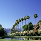 Picture for song 'Gangsta String (West Coast Type) *FREE BEAT*' by artist 'AndrewX'