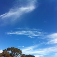 Picture for song 'Lori's Saturday Dream' by artist 'andromeda man'