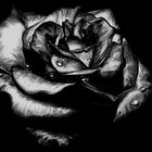 Picture for song '(old) -- == // Destiny \\ == -- !!D/L FREE!!' by artist 'Ascetic Media'