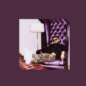 Picture for song 'Don Toliver x Nav Type Beat - "My Mission"' by artist 'beats by NTZ'