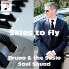 Picture for song 'SKIES TO FLY' by artist 'Bruno and the Susio Soul Squad'