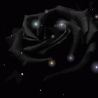 Picture for song 'Midnight Rouse ~ ($.99 Demo DL)' by artist 'Captain Leo'