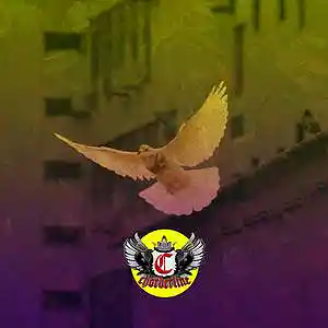 Picture for song 'DOVE (Juice WRLD Type Beat 2022)' by artist 'Chorderline'