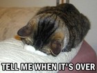Picture for song 'When It's Over.mp3' by artist 'Cjayy210'