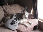 Picture for song 'take 5 oh' by artist 'Dacookster'
