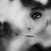 Picture for song 'Empty Headed Doll' by artist 'D B Hankinster'