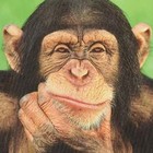 Picture for song 'Thinking Of You' by artist 'Deadly Earnest'