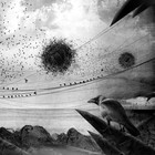 Picture for song 'Los Intros' by artist 'Dictates Of Reason'