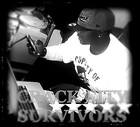 Picture for song 'BLANK CHECK KALICO LOVE.' by artist 'DKINGDOM BLANKCHECK'
