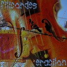 Picture for song 'Le fil du temps' by artist 'Eracilon'