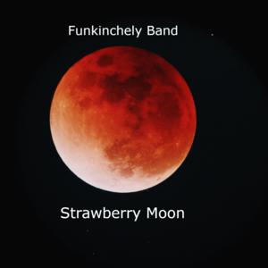 Picture for song 'Strawberry Moon' by artist 'Funkinchely Band'