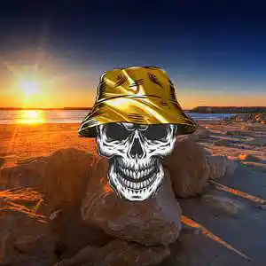 Song picture