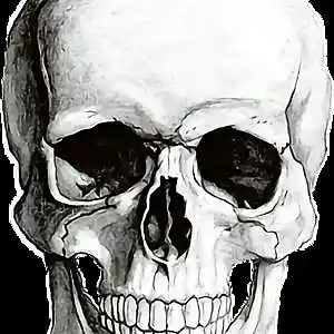 Picture for song 'Death' by artist 'GooDzikBeats'