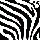 Picture for song 'feed the zoo - H-Heat Beatz (.tag)' by artist 'H-Heat'
