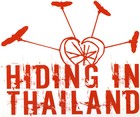 Picture for song 'Idiot Box' by artist 'Hiding in Thailand'
