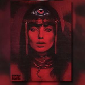 Picture for song 'DAMAGE (75% Sales)' by artist 'HXSHXR'