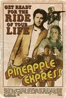 Picture for song 'Pineapple Express' by artist 'Okitsnick'