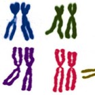 Picture for song 'Usurped' by artist 'I Am The Mighty Jungulator'